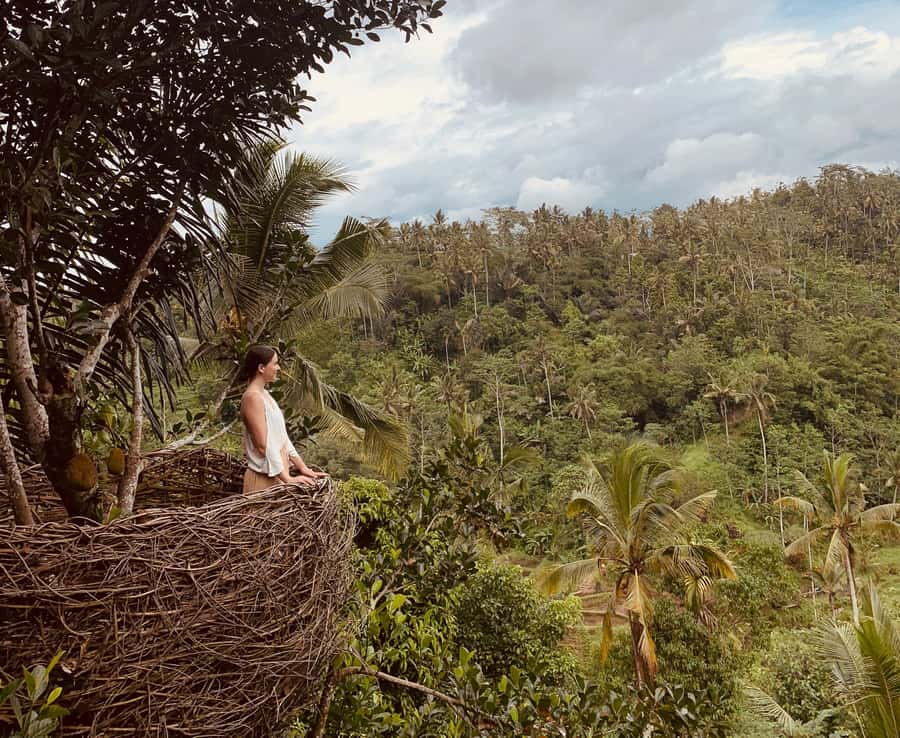 Bali: Swing with Falls, Rice Terrace, & Monkey Forest Option - Penglipuran Village or the Monkey Forest