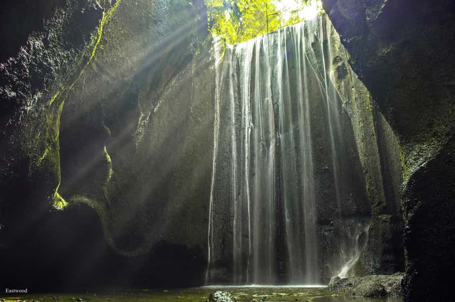 Bali: Swing with Falls, Rice Terrace, & Monkey Forest Option - Add-ons that can turn a short outing into a full day