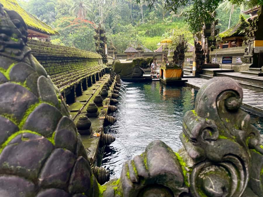 Bali: Tirta empul Temple, Rice terrace and Waterfall - Tegalalang Rice Terrace: Bali’s famous green opening act