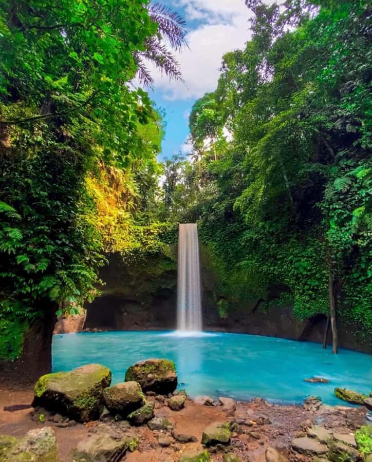 Bali Top's 3 Waterfalls - Temple And Rice Terrace - Tegallalang Rice Terrace: the final view