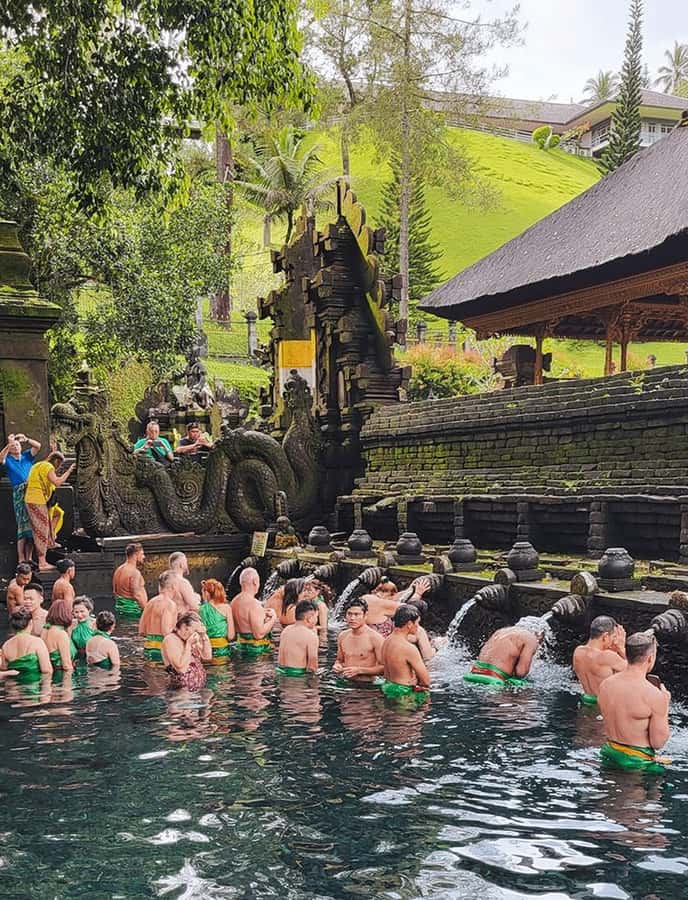 Bali: Trip to Tirta Gangga Palace and Tukad Cepung Waterfall - Abian Desa Rice Terrace and Bali’s farming system