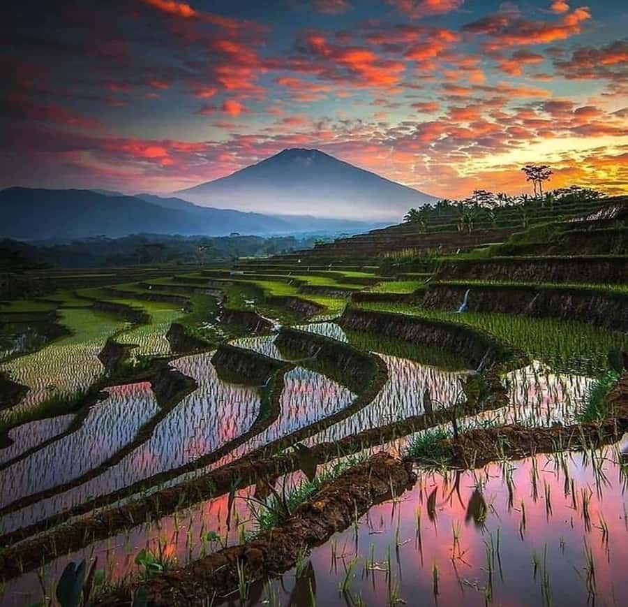 Bali: Trip to Tirta Gangga Palace and Tukad Cepung Waterfall - What the $61 price really buys you