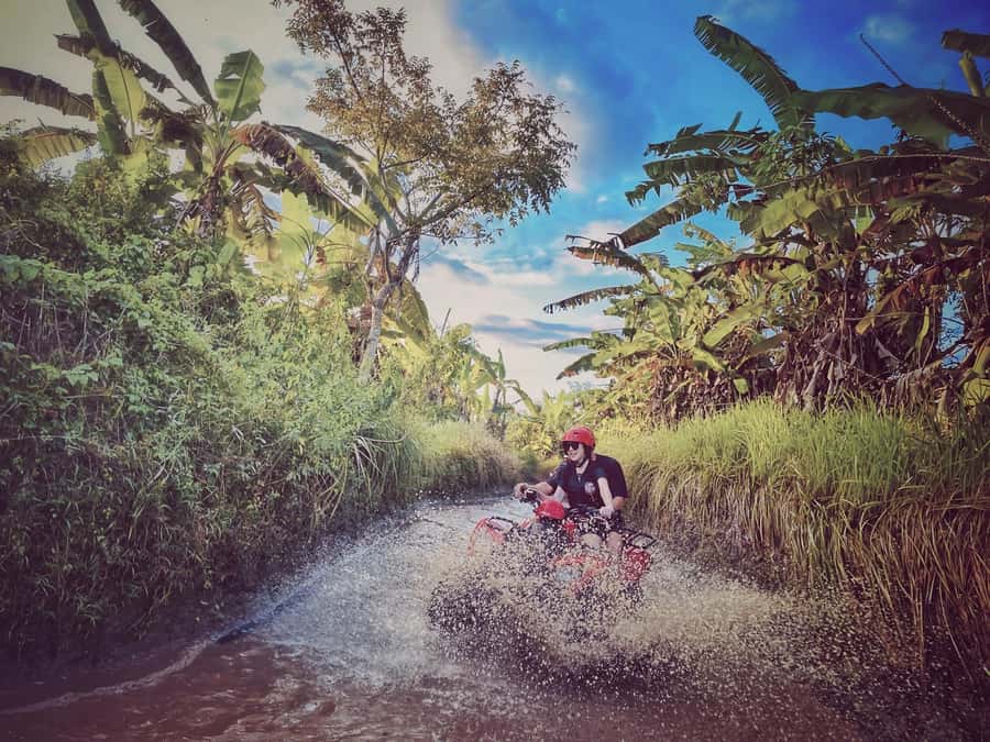 Bali: Ubud Gorilla Cave Track ATV & Waterfall Tour with Meal - Rice fields, jungle tracks, and Gorilla Face Cave
