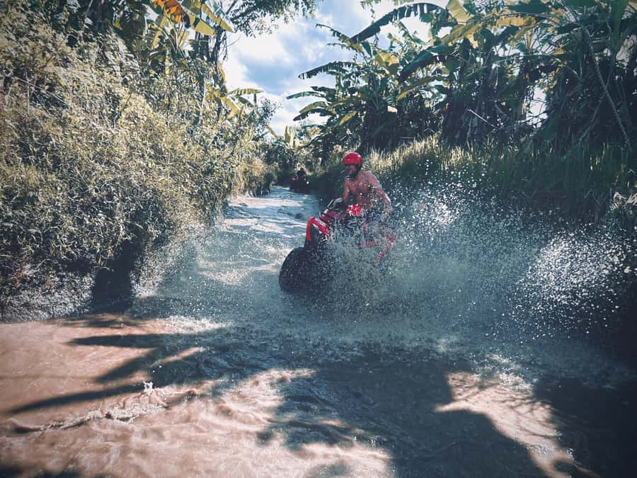 Bali: Ubud Gorilla Cave Track ATV & Waterfall Tour with Meal - Who should book this outing
