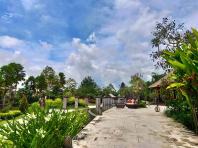 Ubud, Monkey Forest, Ancient Temple, Waterfalls