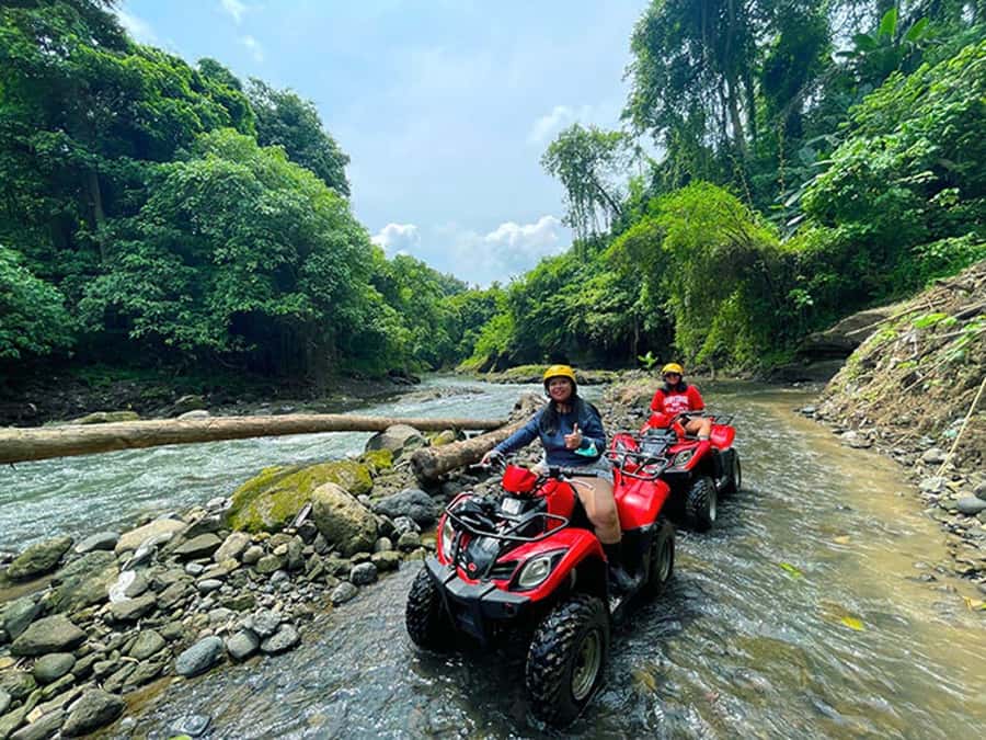 Bali: Ubud, Monkey Forest, Ancient Temple, Waterfalls - Tegalalang Rice Terrace, the classic Bali view
