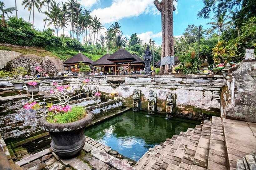 Bali: Ubud, Monkey Forest, Ancient Temple, Waterfalls - The private driver makes the packed route work