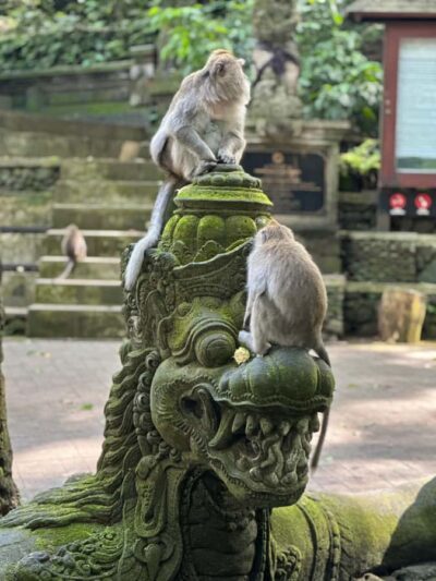 Bali ubud : monkey forest, waterfall , temple