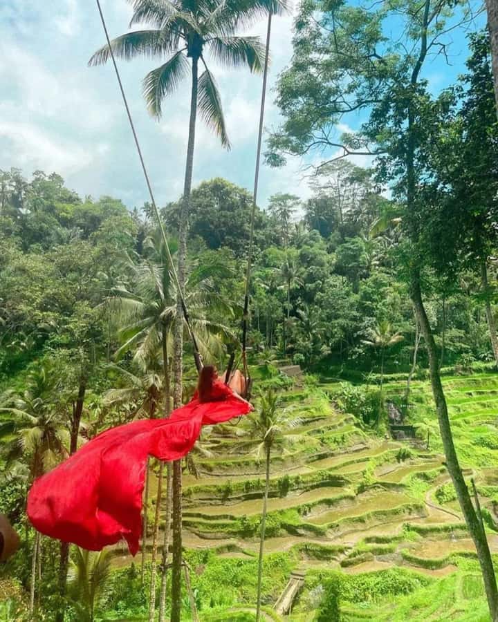 Bali ubud : monkey forest, waterfall , temple - Tirta Empul, Bali’s sacred spring temple