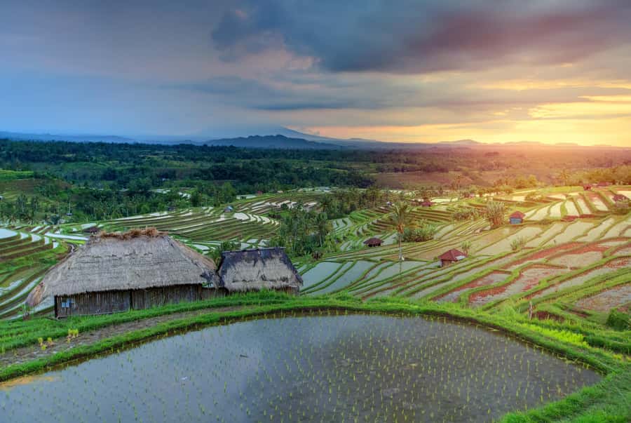 Bali: Water Temple, Waterfalls and Unesco Rice Terrace Tour - Tanah Lot brings the route to Bali’s southwest coast