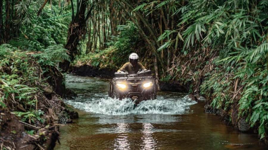 Bali: Waterfall Gorilla Cave ATV & Ubud Rafting Trip & Lunch - Who will enjoy this most