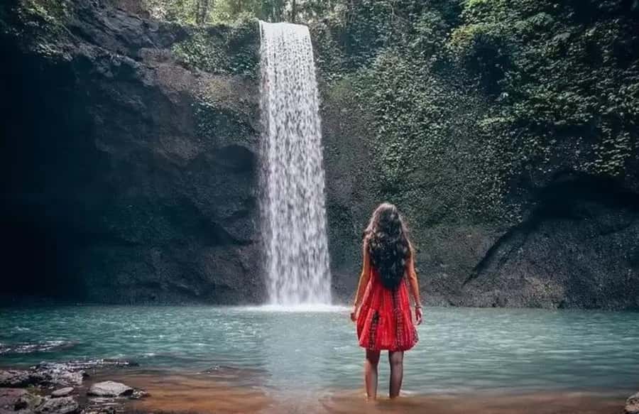 Bali Waterfalls Private Day Tour - Why the Private Vehicle Matters