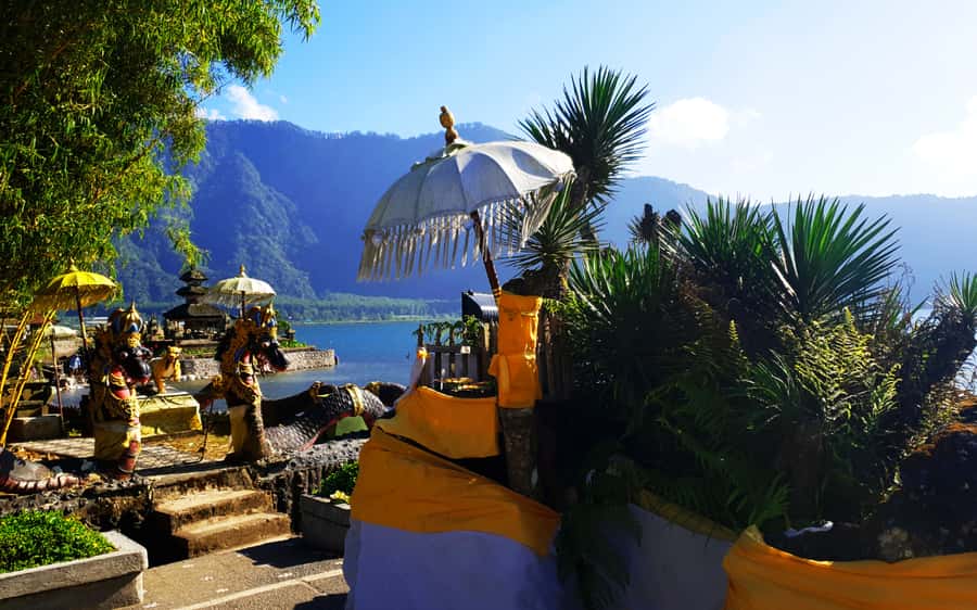 Bali: Waterfalls, Temples, and Rice Terraces Scenic Tour - The optional jungle swing