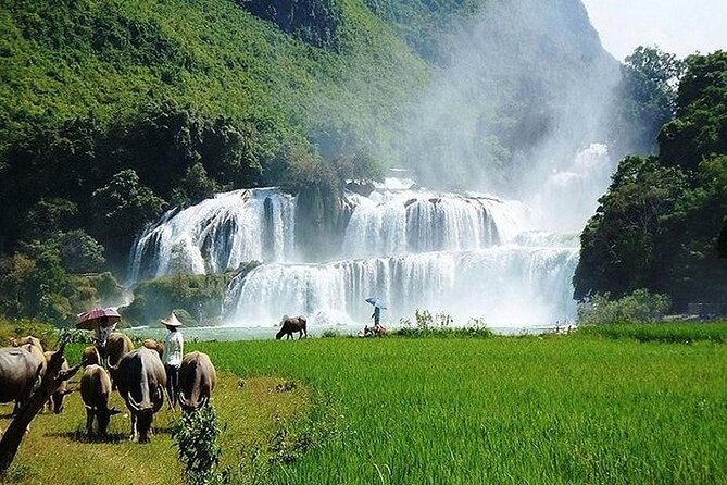 Ban Gioc Waterfall 2 Days 1 Night From Hanoi - Should you book Ban Gioc Waterfall from Hanoi?