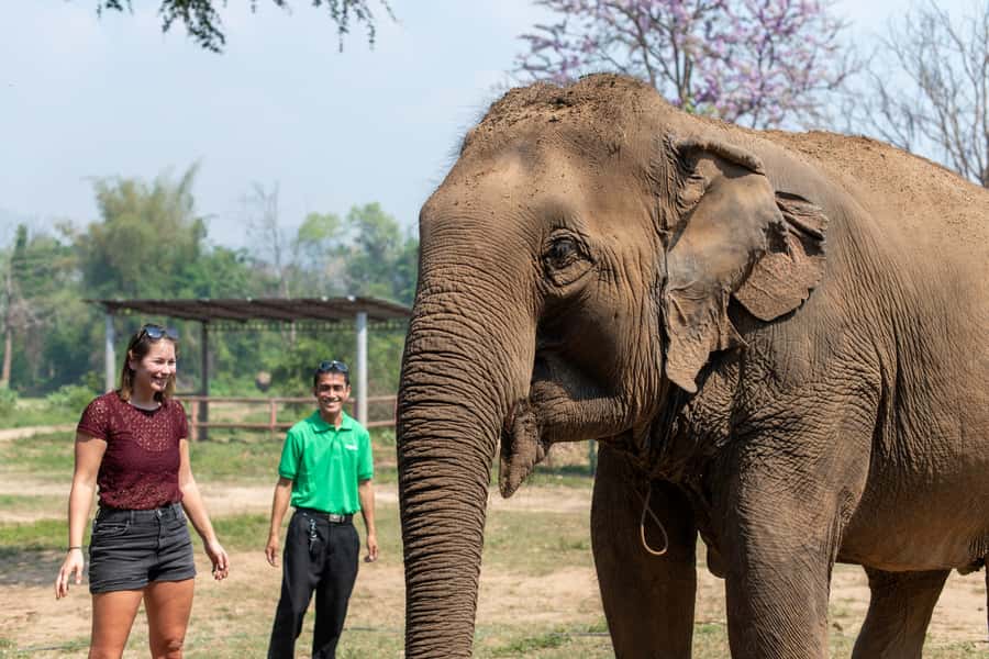 Bangkok: Elephant Sanctuary & Erawan Waterfall Tour - Lunch, showers, and a useful reset