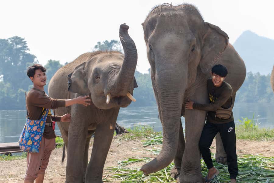 Bangkok: Elephant Sanctuary & Erawan Waterfall Tour - Erawan National Park and the seven falls