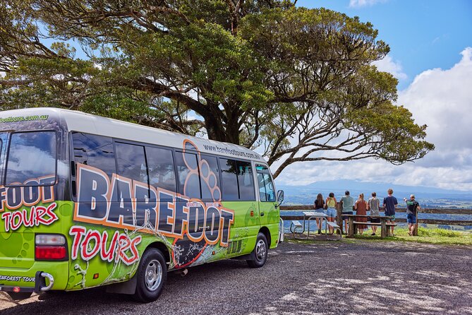 Barefoot Atherton Tablelands Adventure by Cairns Waterfalls - The Cathedral Fig Tree is a short but impressive stop