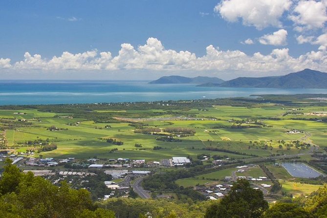 Barron Gorge and Kuranda National Park Half Day Rainforest and Waterfall 4WD Tour from Cairns - What this Cairns rainforest tour is really like