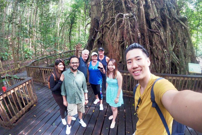 Barron Gorge and Kuranda National Park Half Day Rainforest and Waterfall 4WD Tour from Cairns - Barron Falls and the gorge lookout