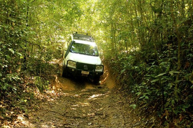 Barron Gorge and Kuranda National Park Half Day Rainforest and Waterfall 4WD Tour from Cairns - Leaving Cairns for the Wet Tropics rainforest