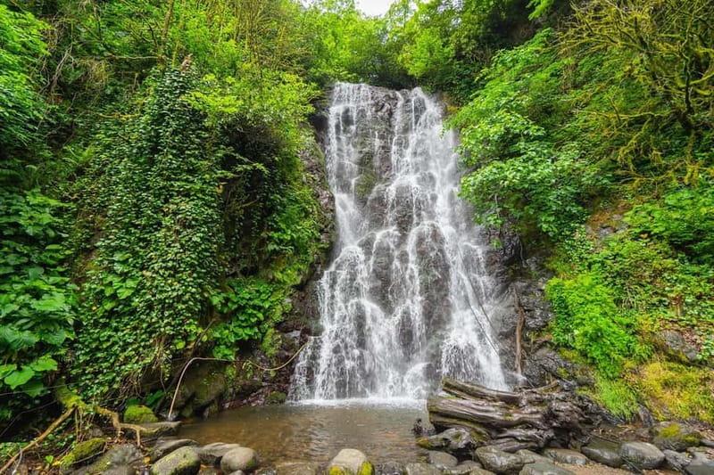 Batumi: Wine & Dine Tour To Waterfalls - Mountainous Adjara - Toasts, music, and a taste of Georgian hospitality