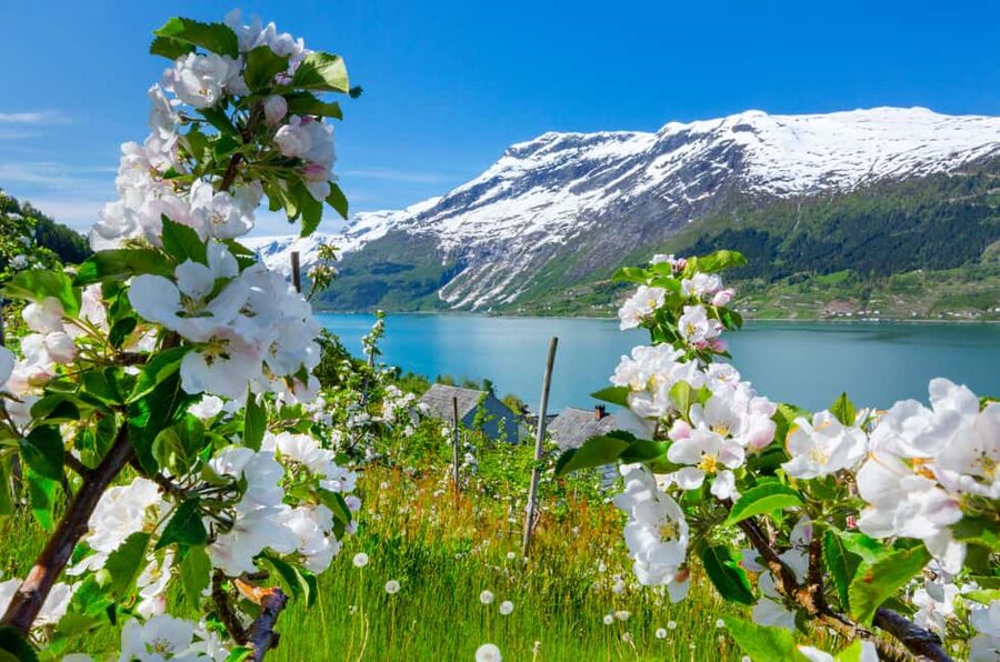 Bergen: Hardangerfjord & Waterfalls Bus Tour with Apple Pie - What this Bergen to Hardanger trip really offers