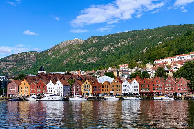 Bergen in a day, Guided tour: Old Town, Waterfalls & Waffles - Salthammeren’s 5,000-year-old carvings