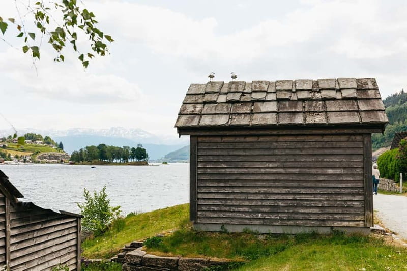 Bergen: Old Town and Waterfalls Guided Tour with Waffles - Salthammeren’s ancient carvings add a human story