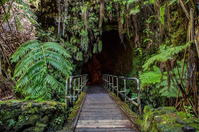 Big Island in a Day: Volcanoes Waterfalls Sightseeing and History - Who Should Book This Big Island Tour?