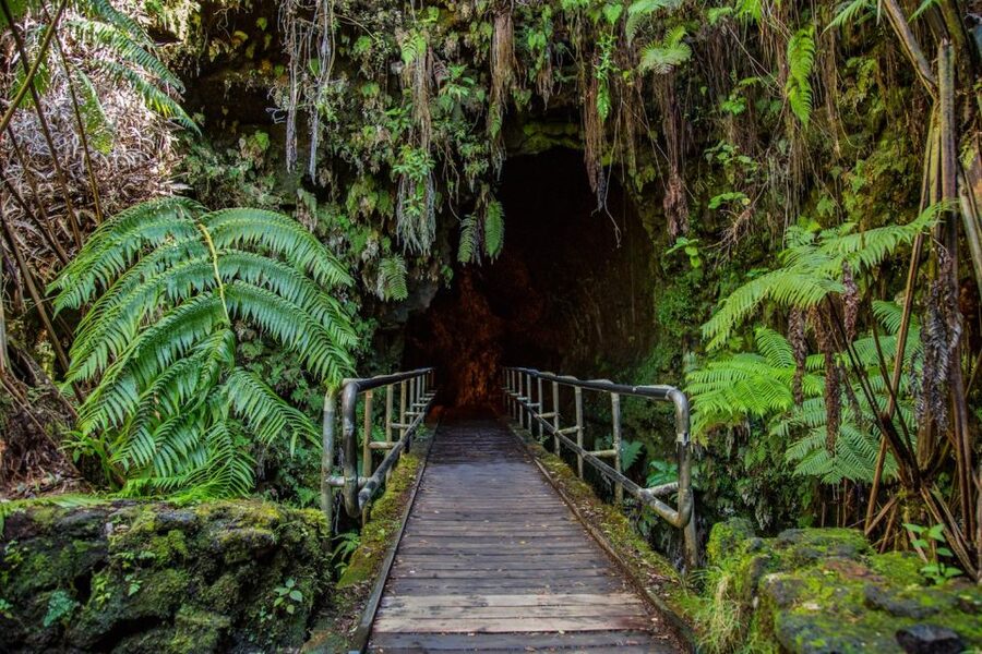 Big Island: Volcanoes, Waterfalls, & Coffee Farm Day-Trip - Coffee, malasadas, and the everyday side of the island