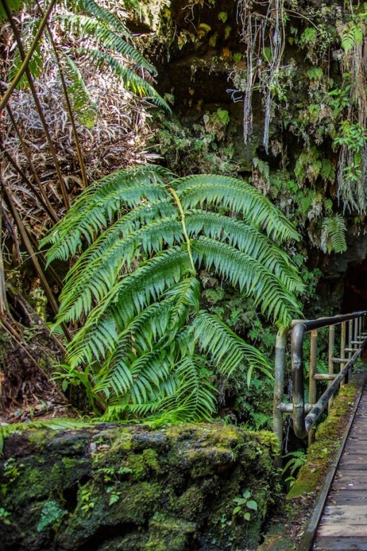 Big Island: Volcanoes, Waterfalls, & Coffee Farm Day-Trip - Hawaii Volcanoes National Park