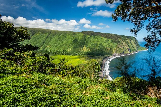 Big Island Waterfalls Tour with Swimming and Botanical Garden - Hawaii Tropical Botanical Garden is more than a quick garden walk