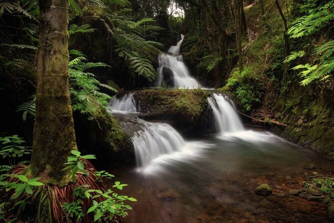 Big Island Waterfalls Tour with Swimming and Botanical Garden - Akaka Falls brings the biggest drop