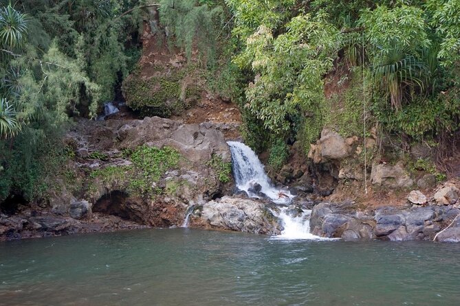 Big Island Zipline Tour Near Akaka Falls (250-ft Waterfall!) - Why the 250-foot waterfall crossing matters
