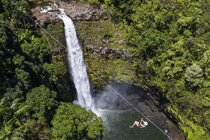 Big Island Zipline Tour Near Akaka Falls (250-ft Waterfall!) - Hawaiian agriculture between the platforms