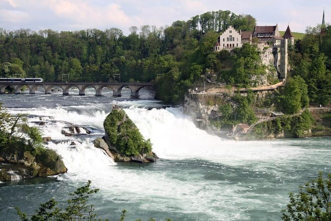 Black Forest and Rhine Falls Day Trip from Zurich - Key points to know before booking