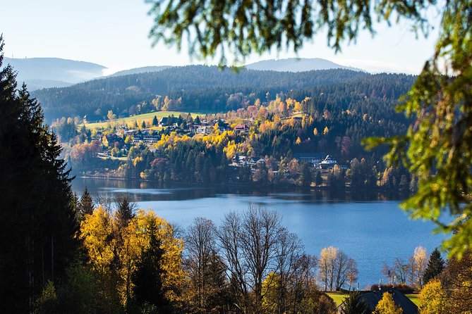 Black Forest and Rhine Falls Day Trip from Zurich - Through Lenzkirch and back toward Switzerland