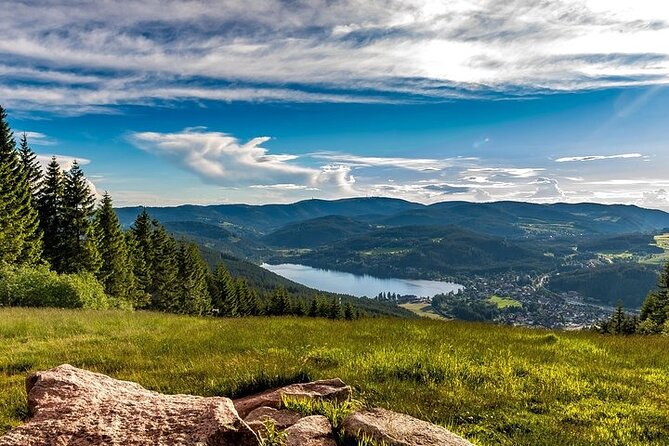 Black Forest and Rhine Falls Day Trip from Zurich - Guides, group size, and the pace