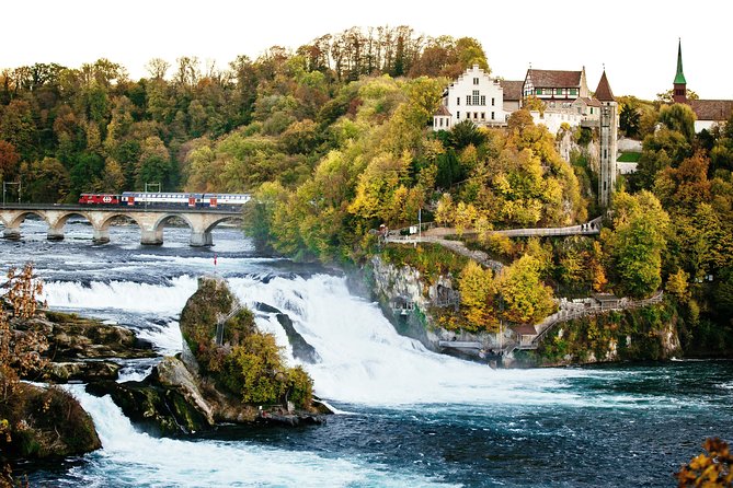 Black Forest and Rhine Falls Day Trip from Zurich - Who should book this tour