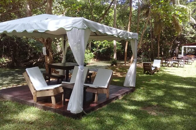 Blue Hole and Dunn’s River Falls Tour with Lunch and Cocktails at Reggae Hill - Who should book this Ocho Rios tour?
