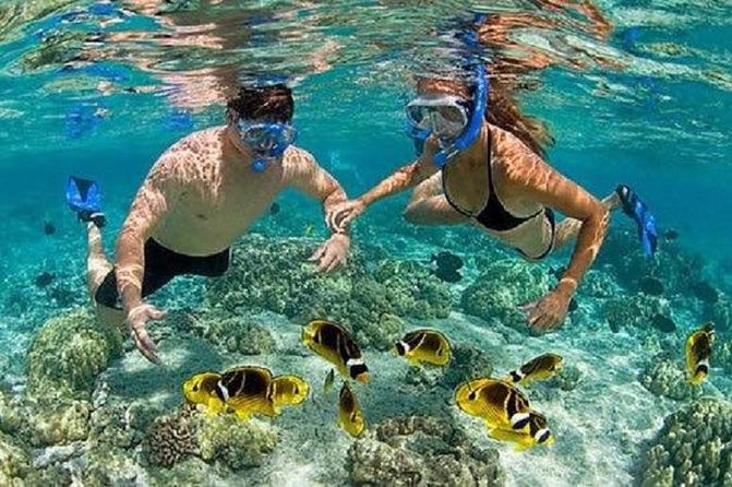 Blue Lagoon Snorkeling and Lunch - Kanto Lampo - Suwat Waterfall - All inclusive - Who will enjoy this day most