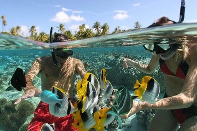 Blue Lagoon Snorkeling - Lunch - Kantolampo - Tibumana Waterfall - Timing, weather, and small practical tips