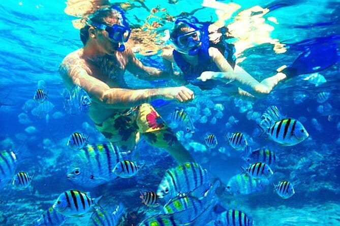 Blue Lagoon Snorkeling with Lunch and Waterfall in Ubud - Blue Lagoon snorkeling, with two water stops