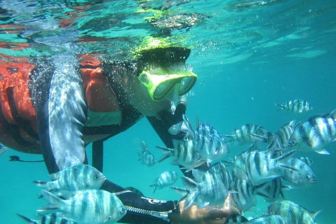 Blue Lagoon Snorkeling with Lunch and Waterfall in Ubud - Segara Windhu Coffee Plantation and Luwak tasting