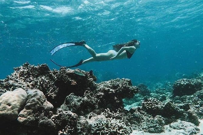 Blue Lagoon Snorkeling with Lunch and Waterfall in Ubud - Private transport is the real time-saver