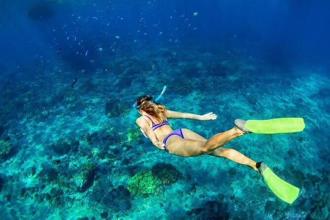 Blue Lagoon Snorkeling with Lunch and Waterfall in Ubud - Practical details before you reserve