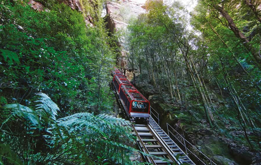 Blue Mountain Small Group Scenic World, Wildlife, Waterfall - Featherdale or Sydney Zoo