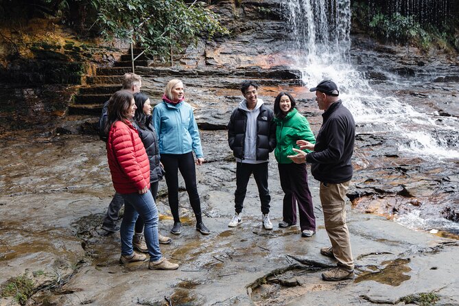 Blue Mountains Day Tour With Bushwalks, Waterfalls & Featherdale - Featherdale Wildlife Park: animals up close