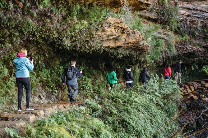 Blue Mountains Day Tour With Bushwalks, Waterfalls & Featherdale - How demanding is the walking?