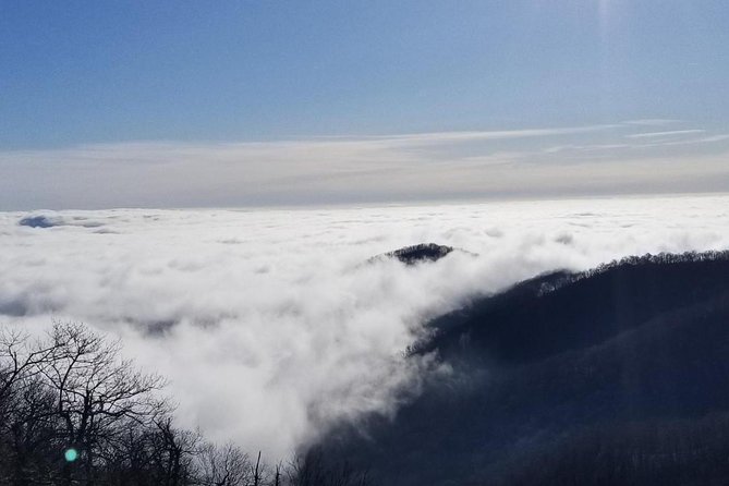 Blue Ridge Parkway Waterfalls Hiking Tour from Asheville - The DuPont State Recreational Forest hike
